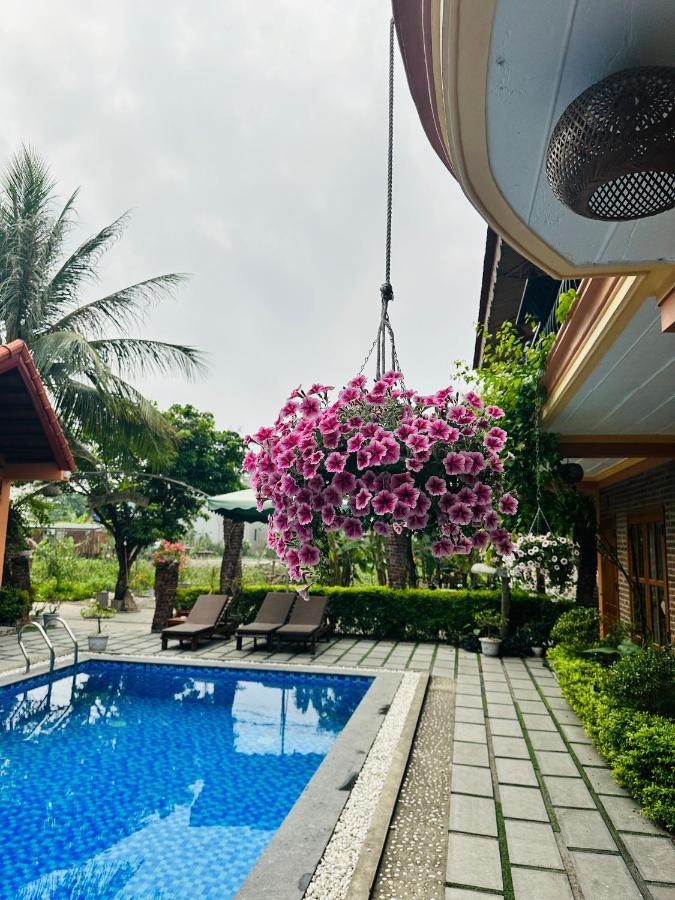 Tam Coc Summer Bungalow نينه بينه المظهر الخارجي الصورة